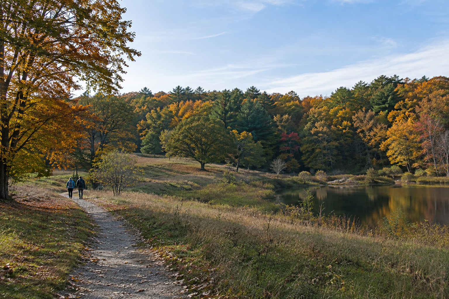 A quiet New England park trail beside a pond in early autumn.